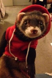 4a54a83ee6104bb010450e175dad9fcd