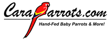     CaraParrots Updated Logo 2012 no phone