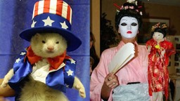 ferret-fashions-1401