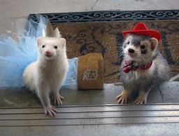 halloween-costume-2011-runA