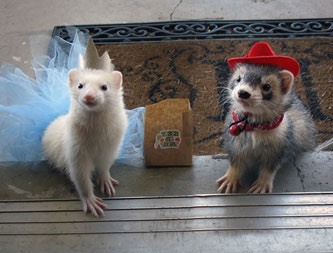 halloween-costume-2011-runA